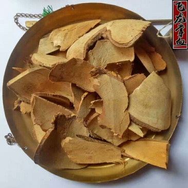 飞龙掌血产地直供支持线上交易可搭配多品种采购