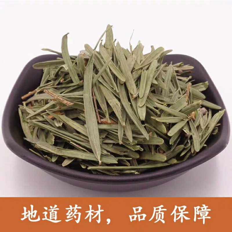 三尖杉产地直供支持线上交易可搭配多品种采购大货联系