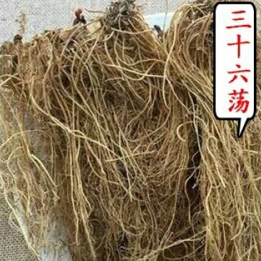 三十六荡双飞蝴蝶老君须可搭配多品种采购大货联系客服