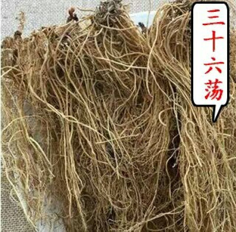 三十六荡双飞蝴蝶老君须可搭配多品种采购大货联系客服