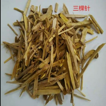 三颗针可搭配多品种采购