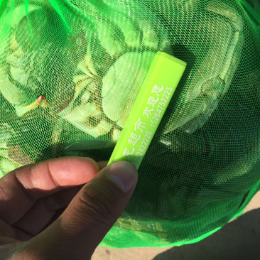 大闸蟹