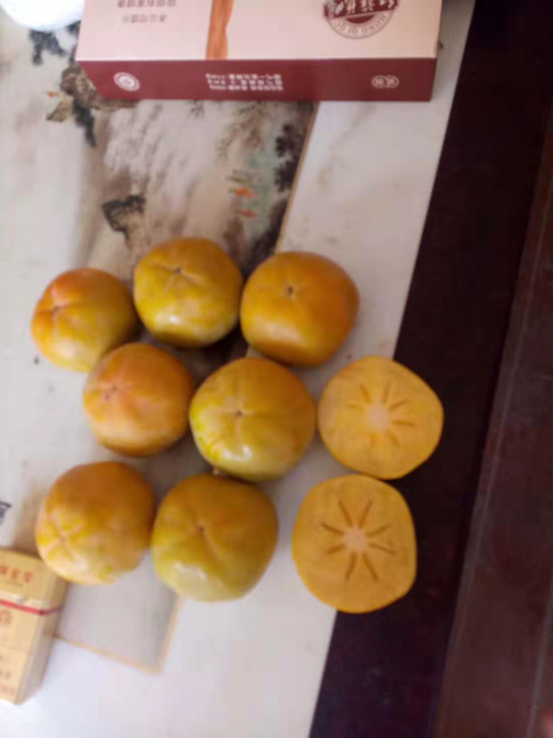 阳丰甜柿，网红产品，甜度高，果个大，无核可食性高