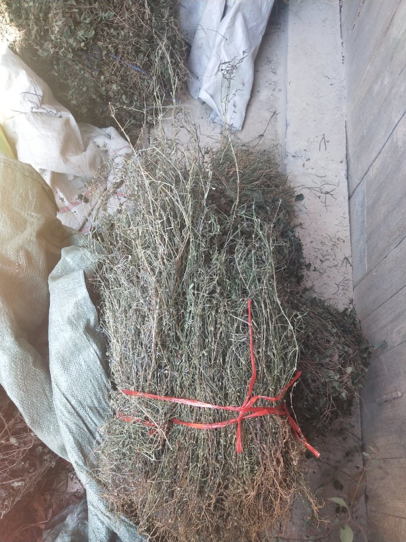 野生百花蛇舌草干货10元一斤