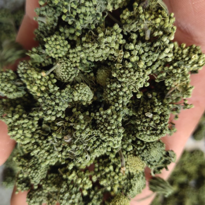 三七花三年以上三七花关书药业新货批发中药材