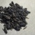 黄牛刺虫,道地药材,质优价实,品质保证,药典标准一公斤起