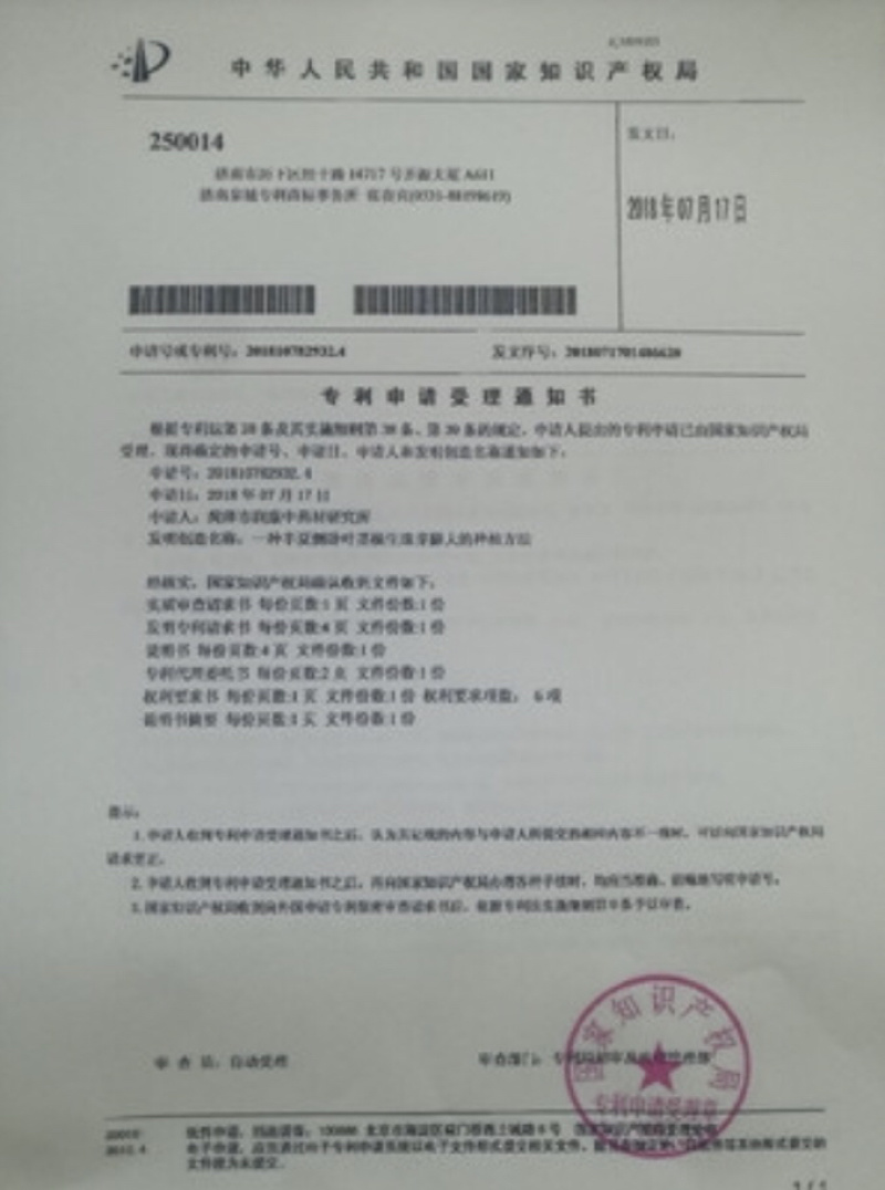 半夏种子98%以上，半夏种茎，半夏种植基地