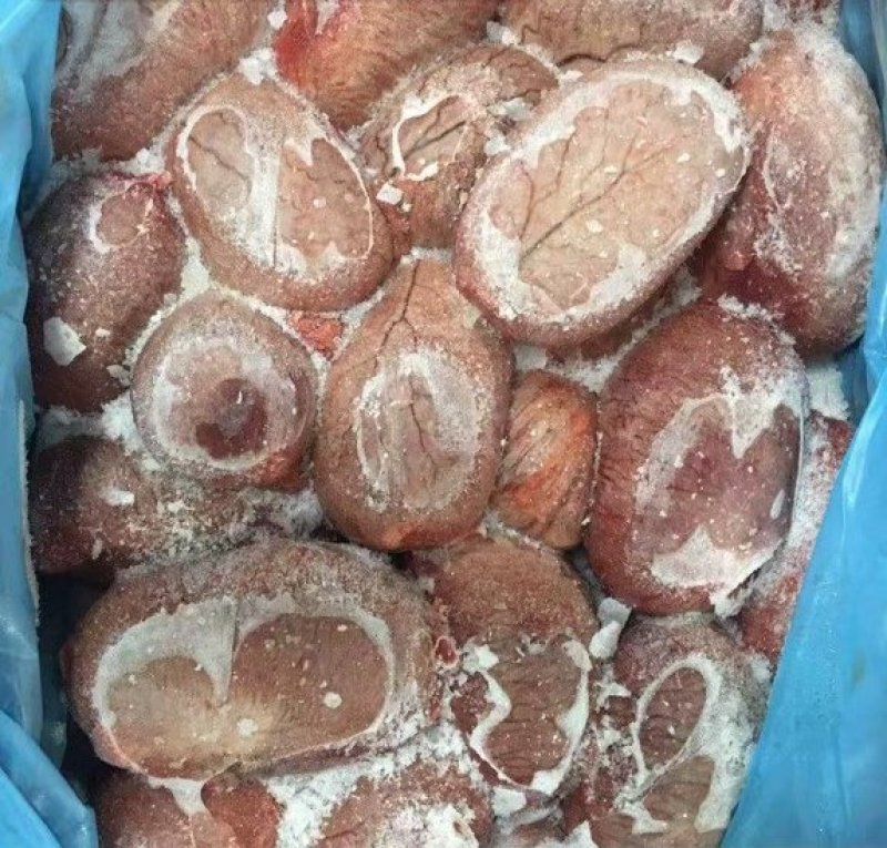 猪宝，产地山东道地药材，质优价实，品质保证，药典标准