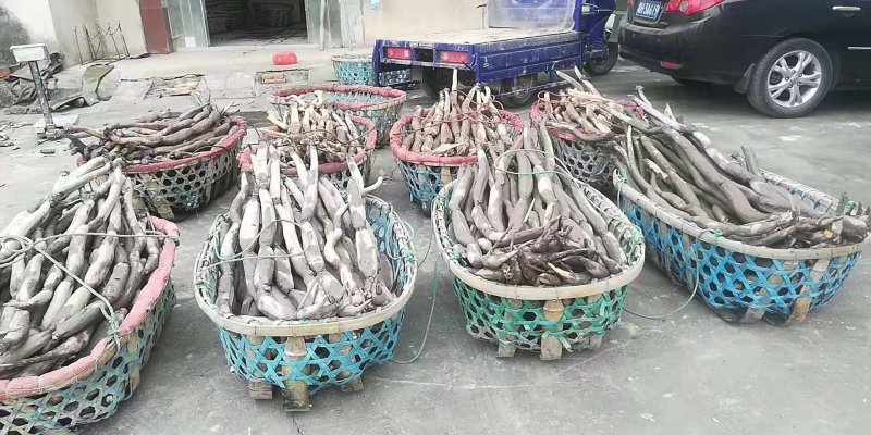 洪湖水浪打浪，洪湖美名天下扬