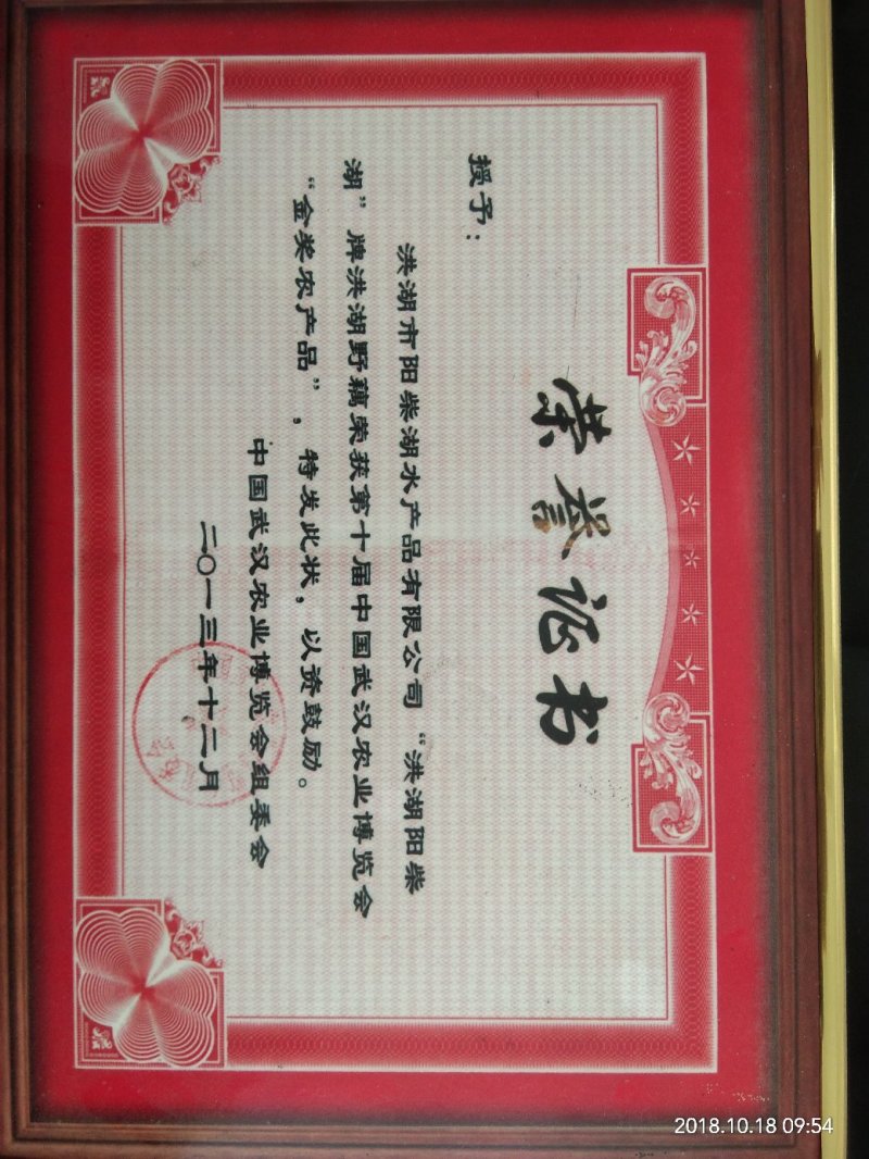 洪湖水浪打浪，洪湖美名天下扬