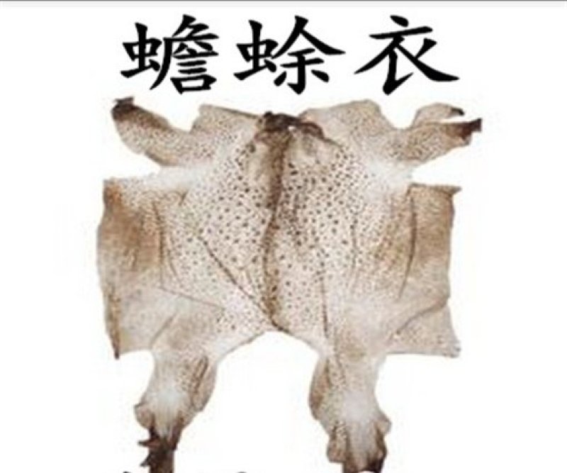 蟾蜍衣，道地药材，一手货源质优价实，品质保证，药典标准