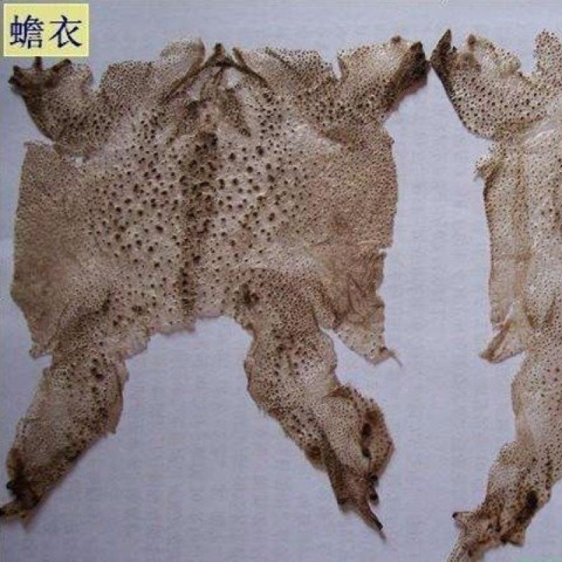 蟾蜍衣，道地药材，一手货源质优价实，品质保证，药典标准