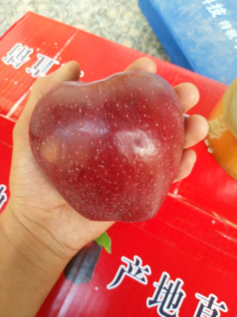 红富士苹果甘肃果农原产地直供质量保证一手货源全国发货
