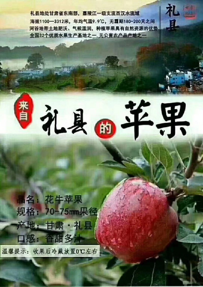 红富士苹果甘肃果农原产地直供质量保证一手货源全国发货