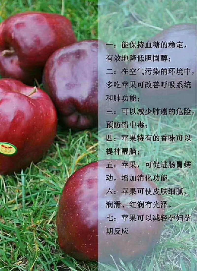 红富士苹果甘肃果农原产地直供质量保证一手货源全国发货