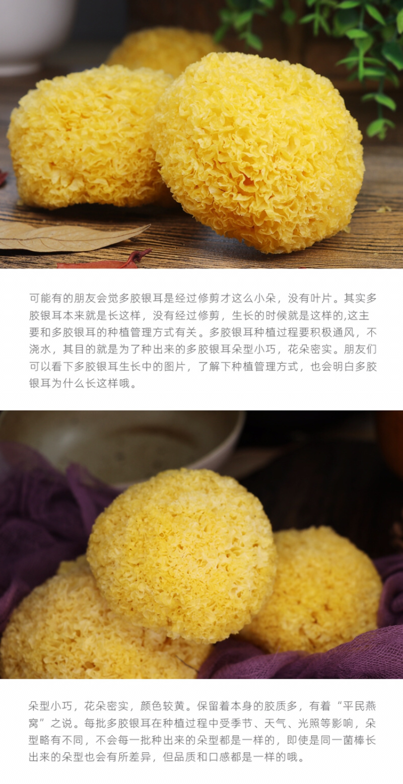 自家种植丑耳糯耳古田银耳干货无硫白木耳雪耳