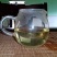 布朗山生态乔木茶、小树茶🈶现货喔！秋茶🈶量欢迎咨询。