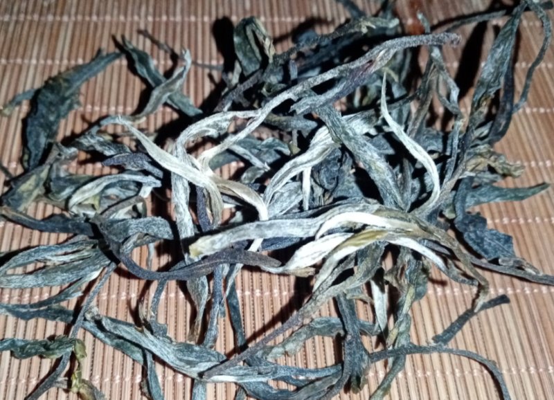布朗山生态乔木茶、小树茶🈶现货喔！秋茶🈶量欢迎咨询。