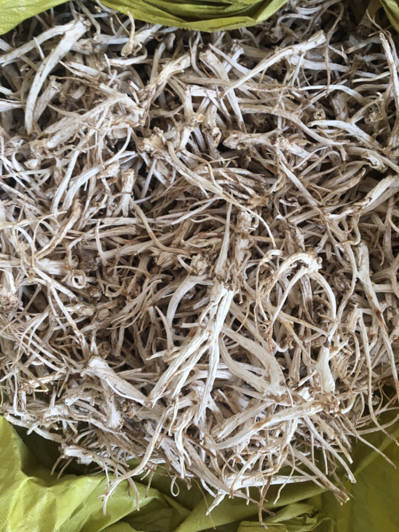 精品桔梗个子价格美丽
