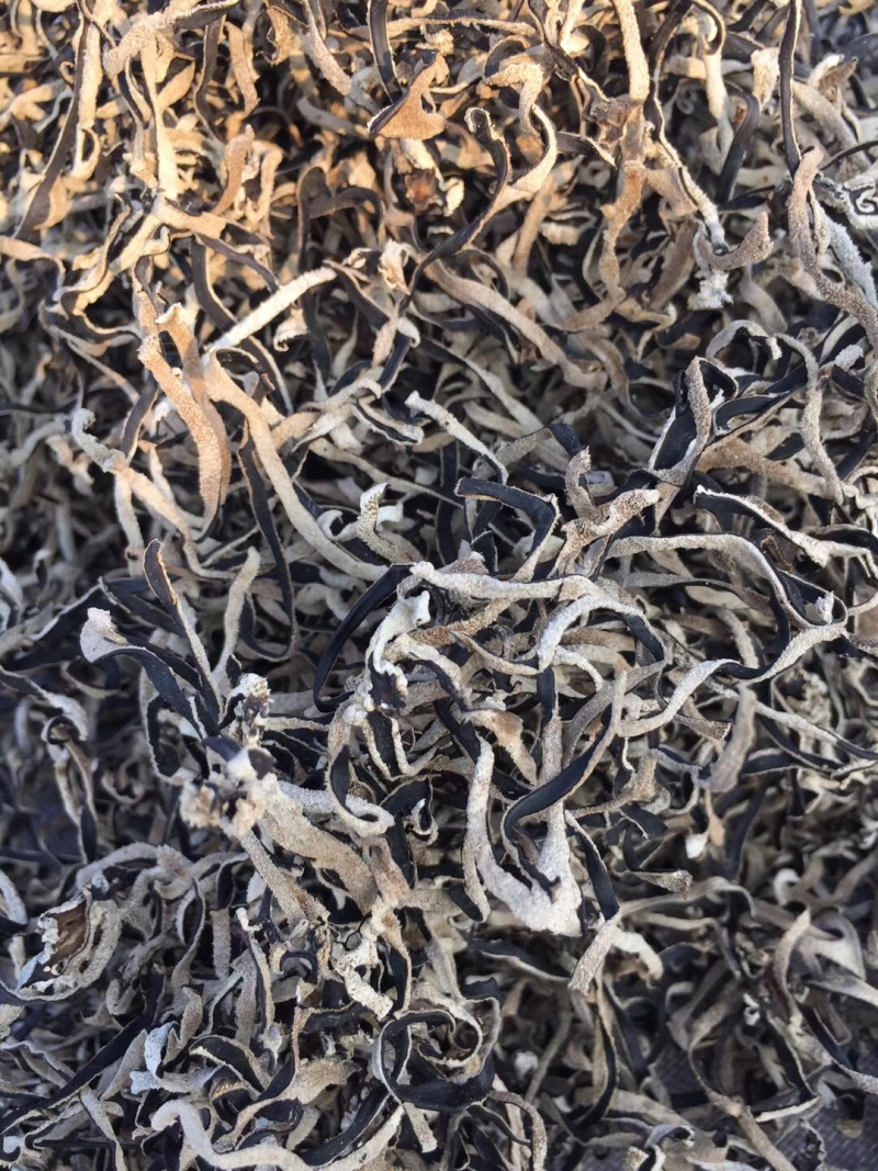 丰县木耳丝螺蛳粉配料厂家直销一手货源，货发全国
