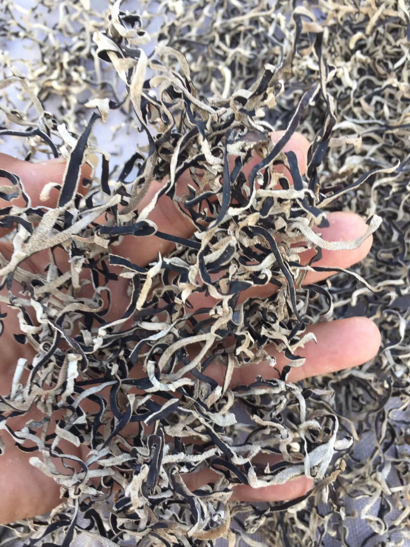 丰县木耳丝螺蛳粉配料厂家直销一手货源，货发全国