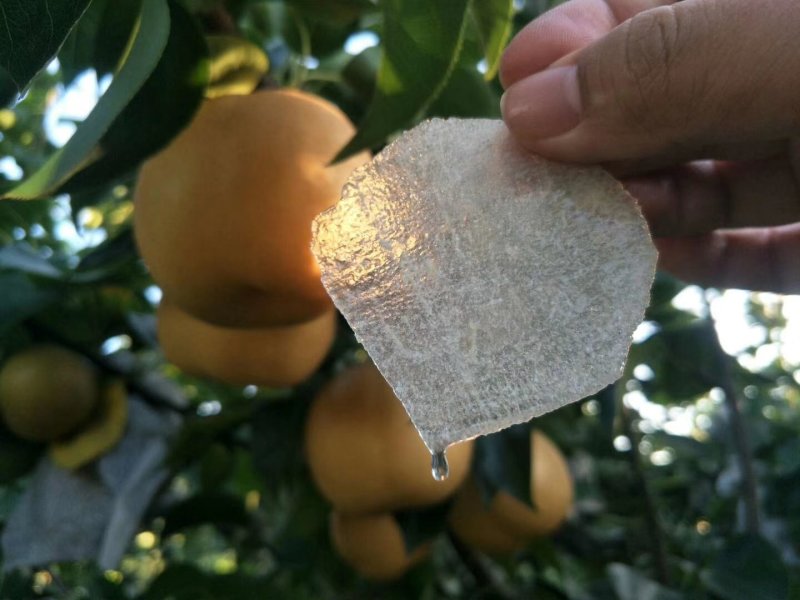 晚秋黄梨货源充足，价格便宜，欢迎联系1836579181
