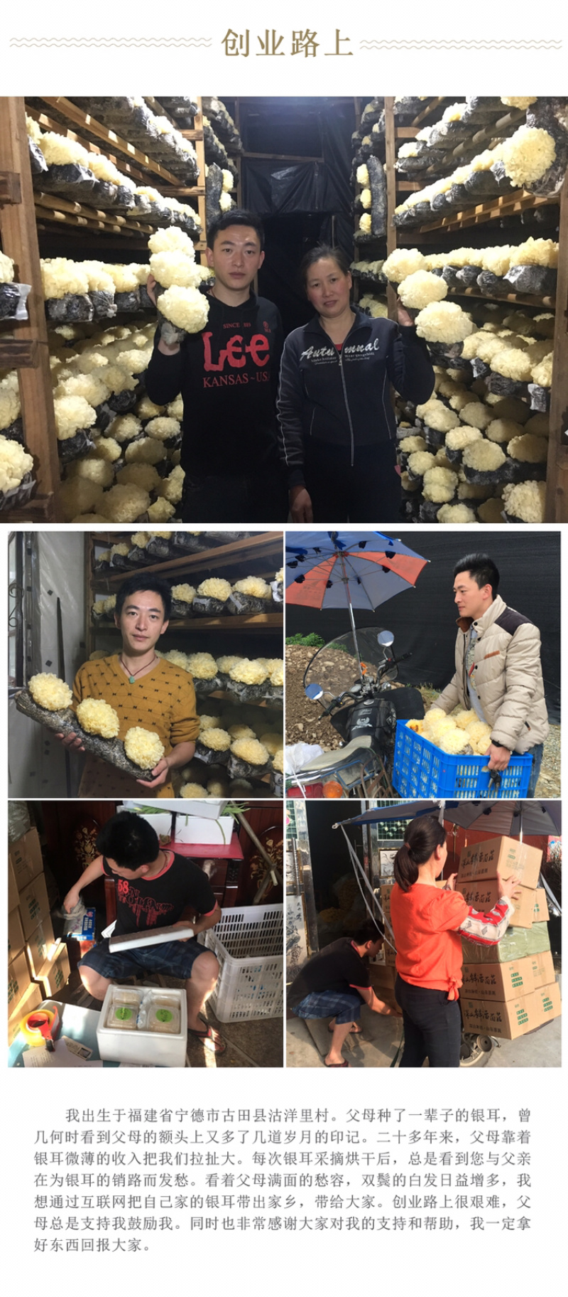 【有好货】自家种植新鲜银耳古田雪耳鲜活白木耳糯耳活耳
