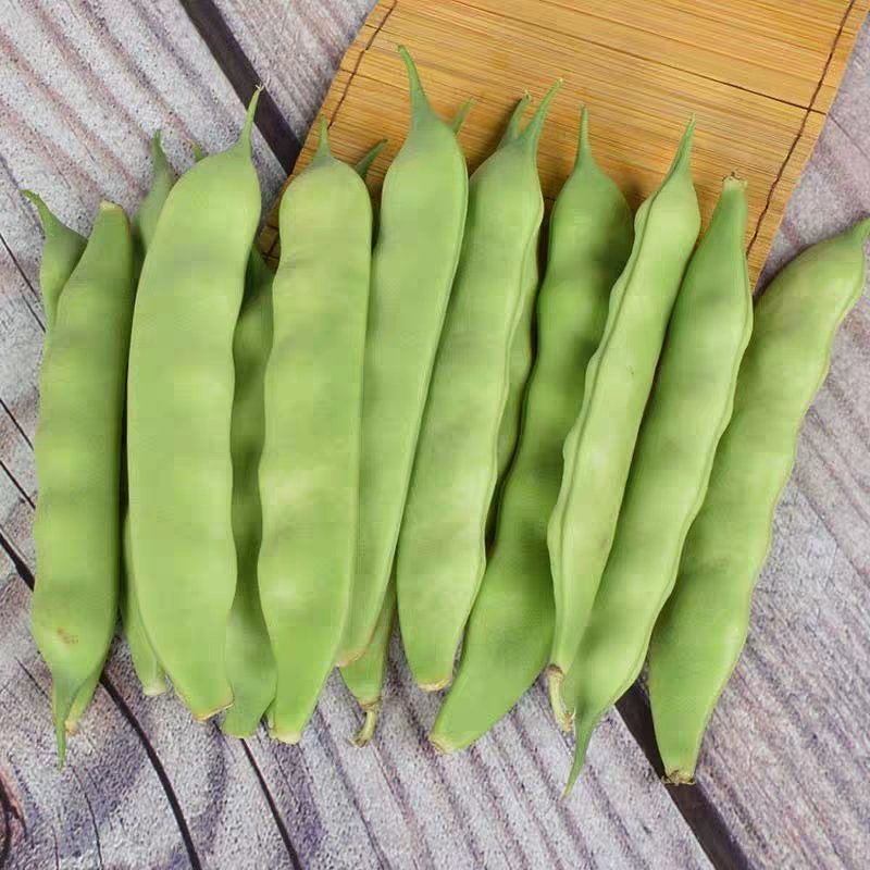 油豆角东北产地豆角一件2000克包邮