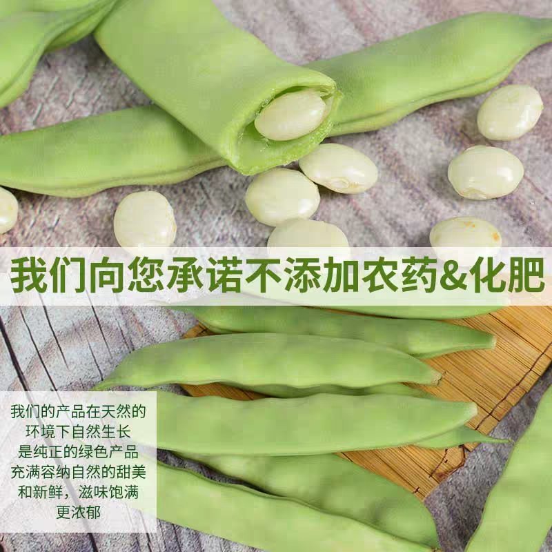 油豆角东北产地豆角一件2000克包邮