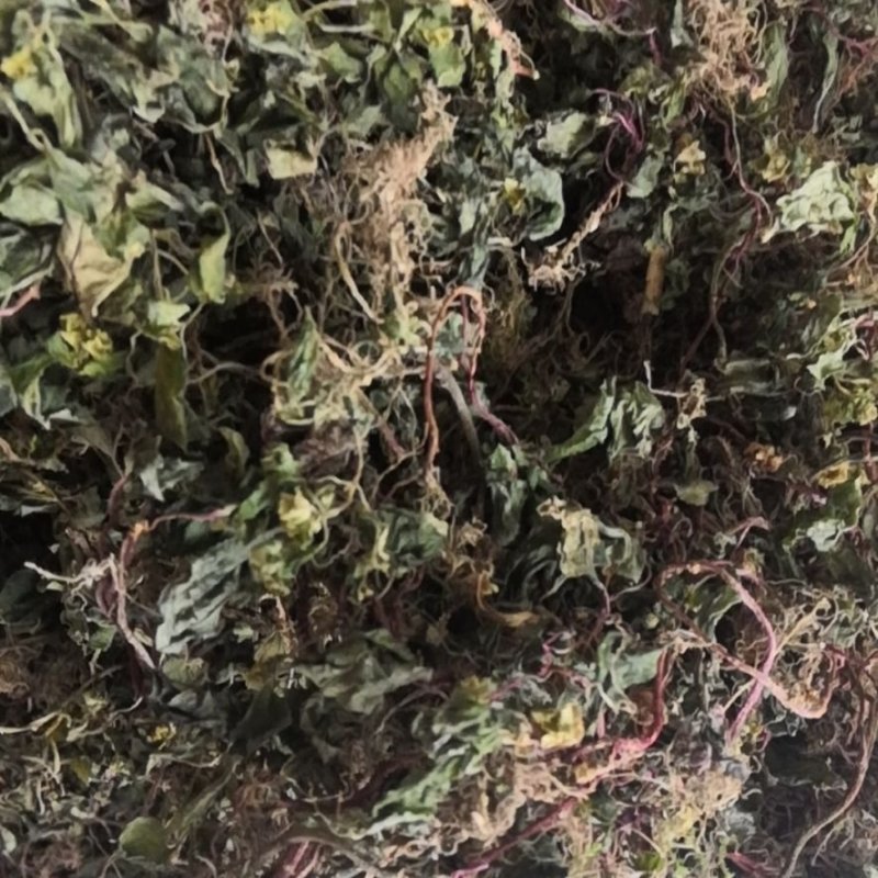 风柜斗草。道地药材，质优价实，品质保证，药典标准产地云南