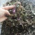 风柜斗草。道地药材，质优价实，品质保证，药典标准产地云南