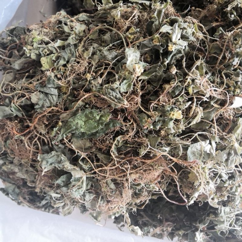 风柜斗草。道地药材，质优价实，品质保证，药典标准产地云南