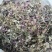 风柜斗草。道地药材，质优价实，品质保证，药典标准产地云南
