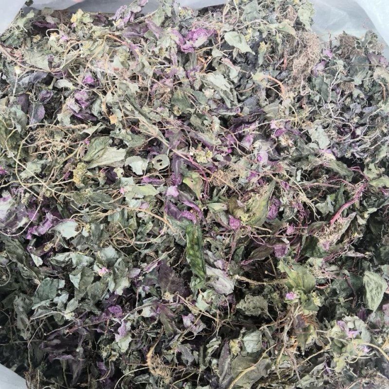 风柜斗草。道地药材，质优价实，品质保证，药典标准产地云南