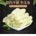 冬瓜条冰糖冬瓜丁冬瓜糖蜜饯果脯休闲食品散装工厂批发