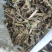 羊草三级