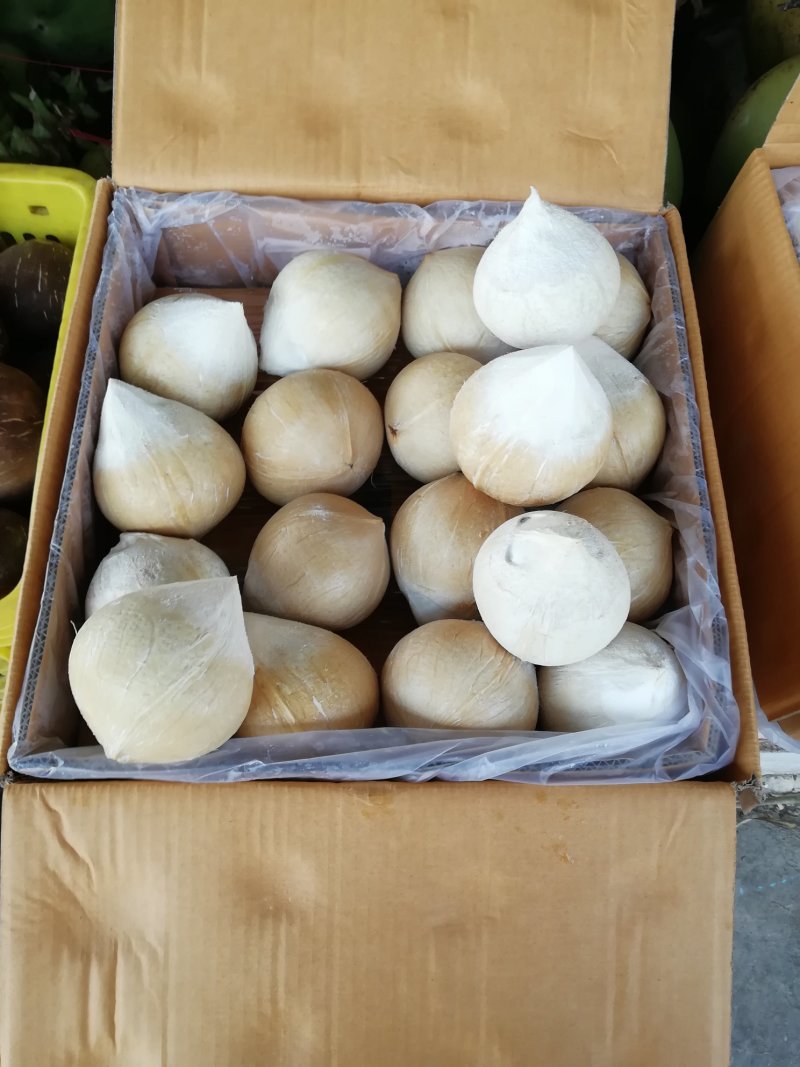 海南椰子，椰皇，椰青