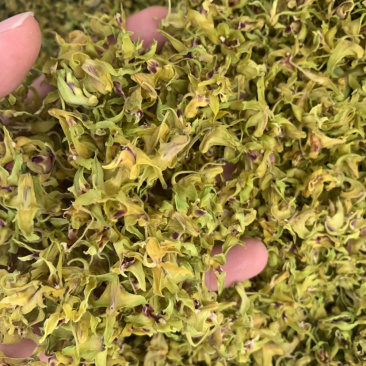 铁皮石斛花，自产自销、产地直发