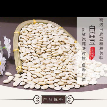 白扁豆精品新货价格美丽