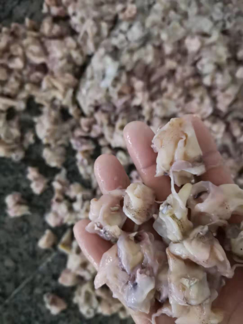 鱿鱼脖150-200
