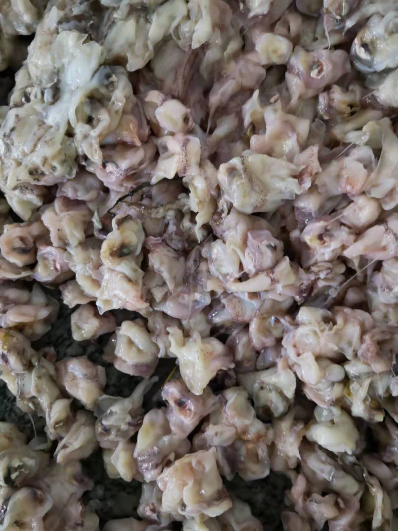 鱿鱼脖150-200
