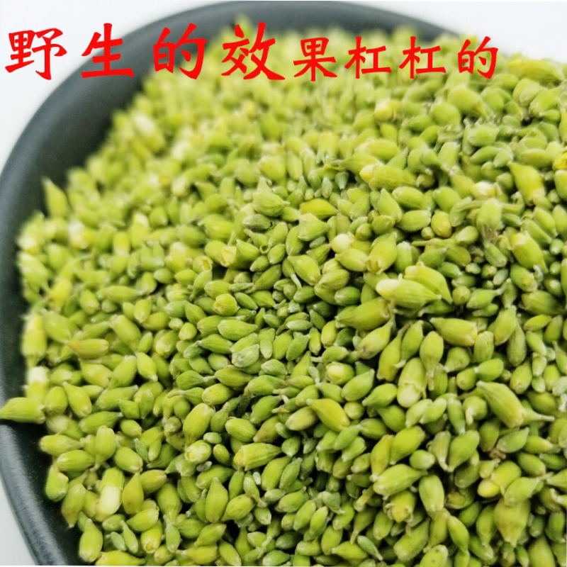 槐米精品新货价格美丽