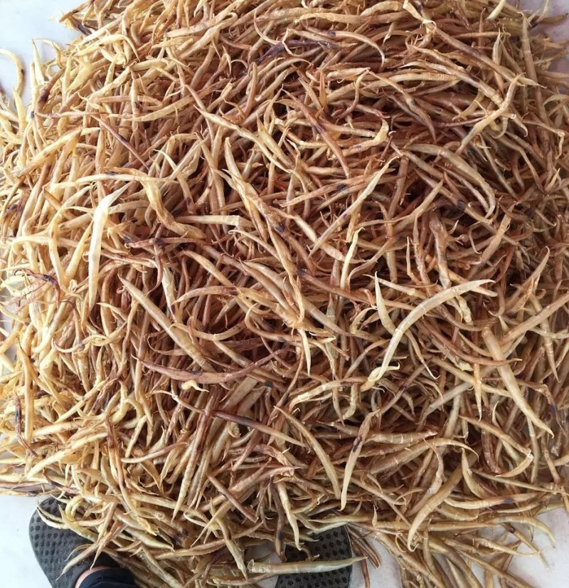 鳗鱼，质优价实，品质保证，胶仔鳗鱼，一公斤起批