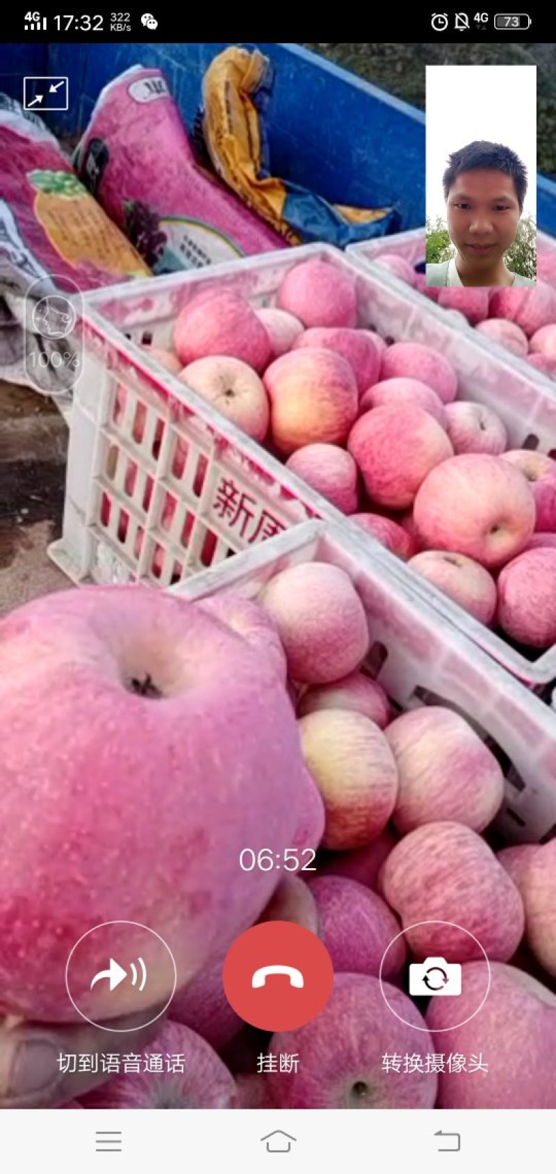 陕西条纹富士