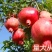 突尼斯石榴苗蒙阳红石南北方种植地栽盆优质苗