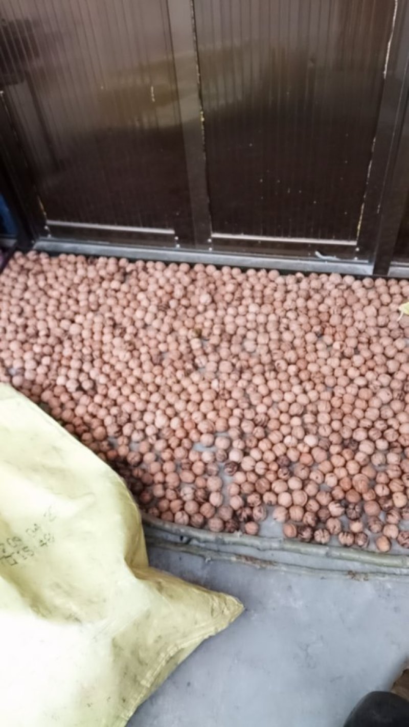 核桃