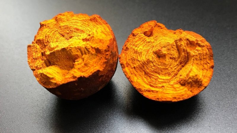牛黄，道地药材，质优价实，品质保证，药典标准一公斤起批