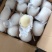 天發鸭梨