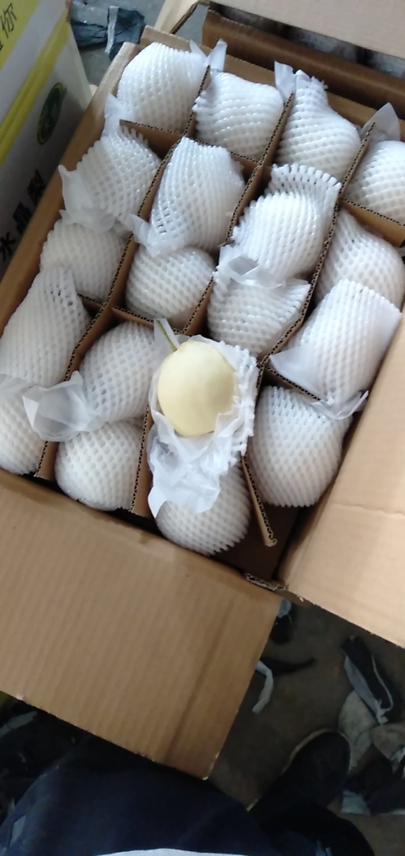 天發鸭梨