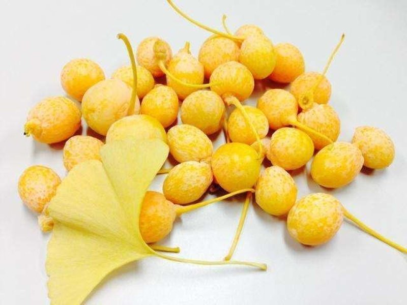 银杏果